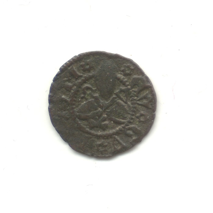 Picciolo RM19 - CNI-10 
