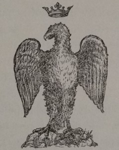aquila